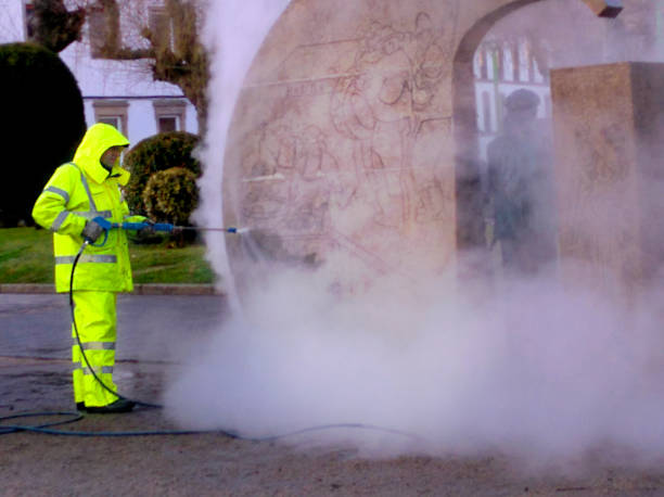 Best Pressure Washing Driveway  in Greene, IA