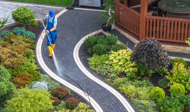Best Power Washing Near Me  in Greene, IA