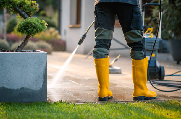 Best Pressure Washing Company Near Me  in Greene, IA